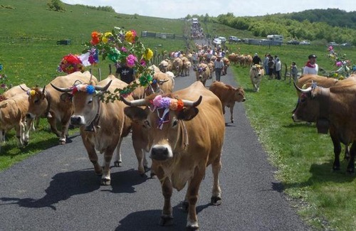 Saint-Geniez-d'Olt Otro | VOS VACANCES EN PAYS D' AUBRAC La Boissière