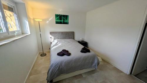 Amneville Casa | Votre deux pièces à Amnéville