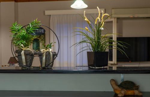 Nidri Apartamento | Voula's House