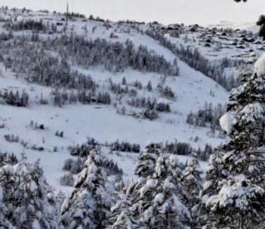 Kviteseid Casa | Vrådal Golf Park