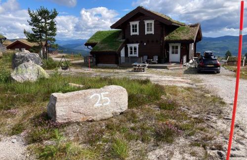 Kviteseid Casa | Vrådal Panorama