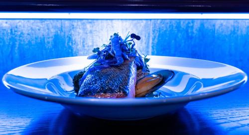 Newton Apartamento | VR Queen Street Hotel & Suites