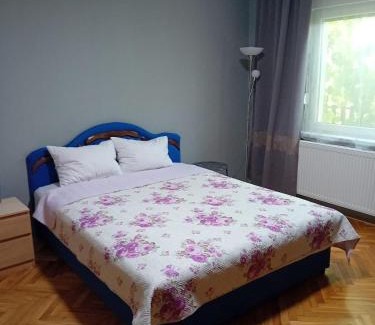 Vrbas Apartamento | Vrbas