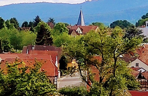 Schweigen-Rechtenbach Apartamento | Vrbo Property