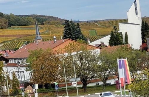 Schweigen-Rechtenbach Apartamento | Vrbo Property