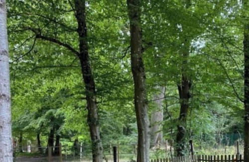 Le Coudray-Montceaux Casa | Vrbo Property