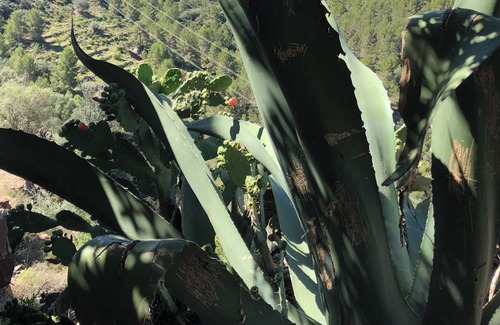 Vilafames Cabaña | Vrbo Property