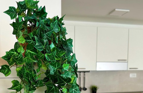 Budrio Apartamento | Vrbo Property
