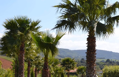 Carvalhal Benfeito Cabina | Vrbo Property