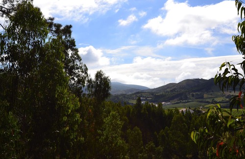 Carvalhal Benfeito Cabina | Vrbo Property