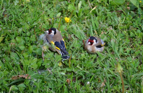 Carvalhal Benfeito Cabina | Vrbo Property