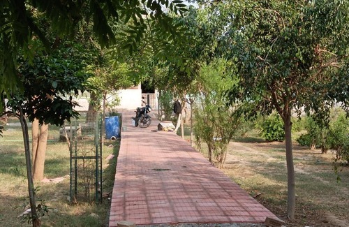 Vrindavan Casa | VRINDA Kunj ASHRAYAM