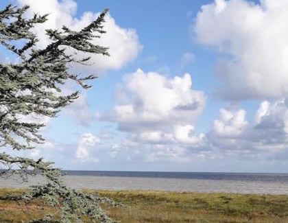 Cherrueix Casa | Vue mer pour une escale en baie du Mt-St-Michel