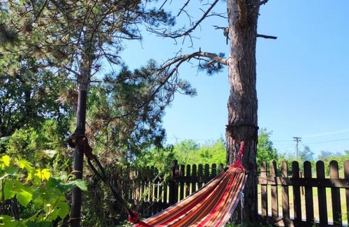 Central Serbia Casa | Vukina kuća - Brajkovac