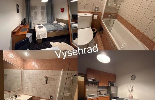 Vysehrad Apartamento | Vysehrad studio near the Congress Centre