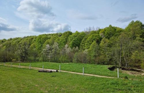 Lviv Oblast Casa | Vysoka brama дерев'яний будиночок з чаном