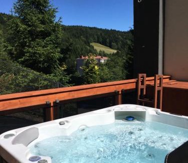 Krynica-Zdroj Apartamento | Wójcik SPA - Krynica Zdrój