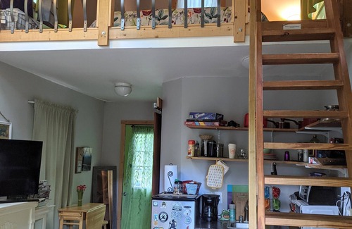 Asheville Casa | W Avl Tiny Home, Se aceptan mascotas, Cerca del centro