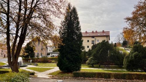 Jedlina-Zdroj Apartamento | W centrum uzdrowiska
