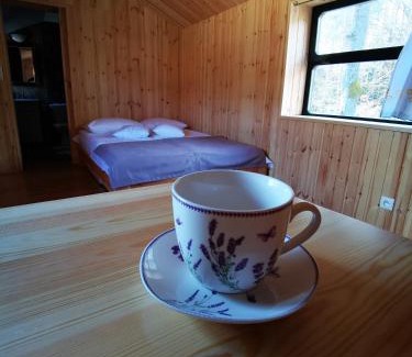 Narewka Casa | Wagon Przystanek Gnilec