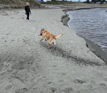 Waikanae Casa | Waikanae Olde Beach Palm Cottage 2 min to Beach