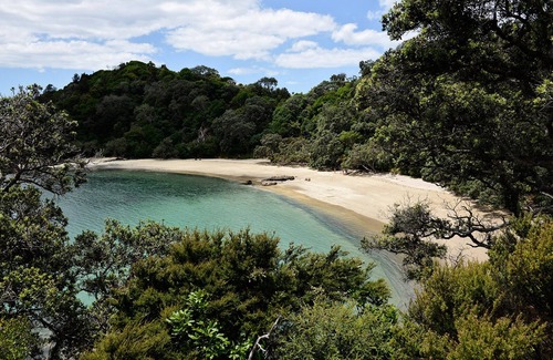 Ngunguru Cabina | Waiotoi NZ - El escondite de Bush