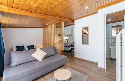 Angeiras Apartamento | Wake up with the Sea Breeze- House with pool AP1