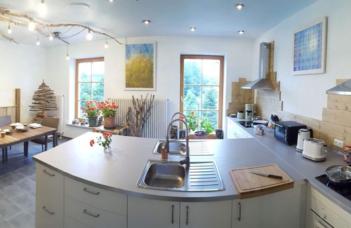 Frauenwald Apartamento | Wald Apartments - Waldruine - Habitación confort con cocina compartida