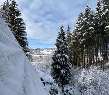 Feriendorf Im Killerberg Apartamento | Wald-Chalet Vulkaneifel