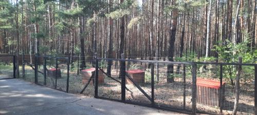 Brody Otro | Waldcamp Hundeparadies
