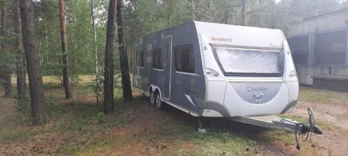 Brody Otro | Waldcamp Hundeparadies