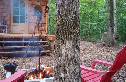 Stokes Cabina | Walden Cabin Experience