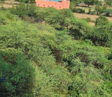 Khattalwada Apartamento | Walk to Temples