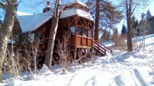 Bear Valley Casa | Walk to the Lake - Ski in out Amazing 5 Bdrm - VH#343