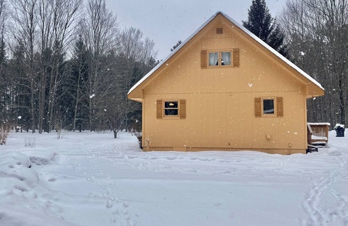 Benzonia Cabina | Walking distance to Betsie River & 10 minutes to Lake Michigan & Crystal Mnt!