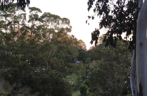 North Maleny Casa | Wallaby 3-Bedroom at On Burgum Pond Cottages