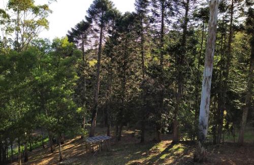North Maleny Casa | Wallaby 3-Bedroom at On Burgum Pond Cottages