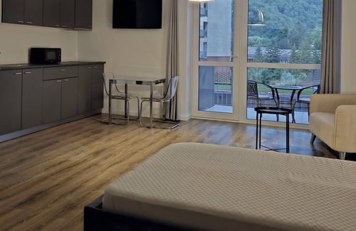 Sinaia Apartamento | Walter Apartment Sinaia