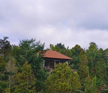 Wanagiri Villa | Wanagiri Reserve