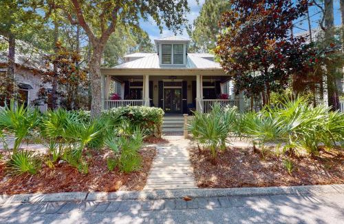 Forest District Casa | Wanderlust in Watercolor