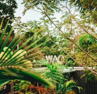 Las Escobas del Venado Hotel | Wao Jungle Venao