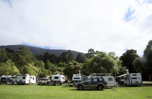 Warburton Otro | Warburton Holiday Park