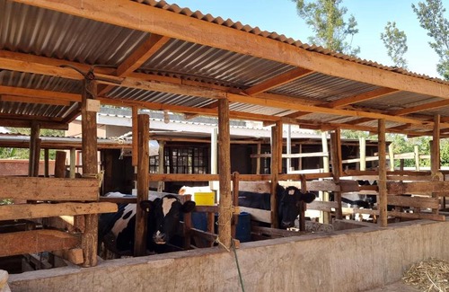 Kirinyaga Casa | Waridi Farmhouse