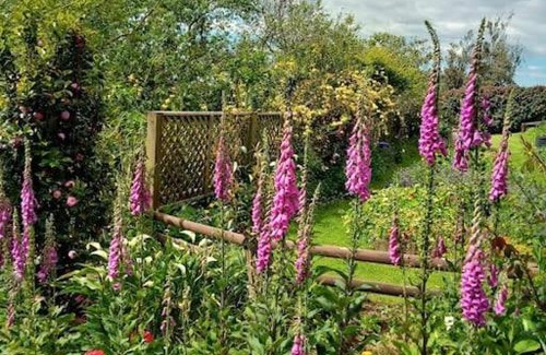 Aongatete Cama Y Desayuno | Warm Earth Cottages