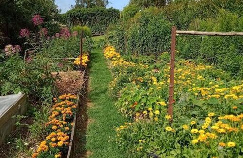 Aongatete Cama Y Desayuno | Warm Earth Cottages