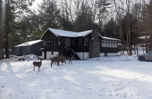 Smallwood Cabaña | Warm welcoming cozy cottage in the woods