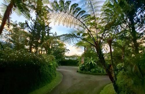 Candikuning Hotel | Warung Rekreasi Bedugul