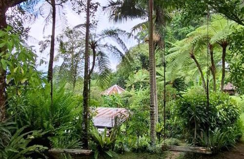 Candikuning Hotel | Warung Rekreasi Bedugul