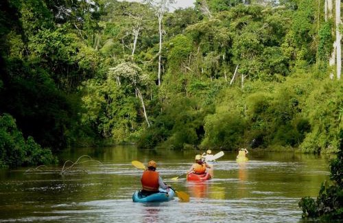 Tambopata Cabina | Wasai Tambopata Lodge