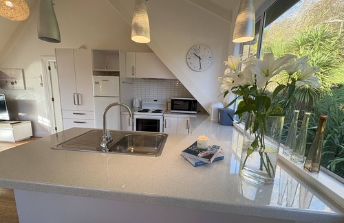 Dunedin Apartamento | Waterfront 2-bedroom apartment with AC in Dunedin